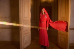 JEWEL ELBİSE NAR ÇİÇEĞİ - Thumbnail