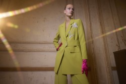 REVERIES TAKIM MİMOZA - Thumbnail